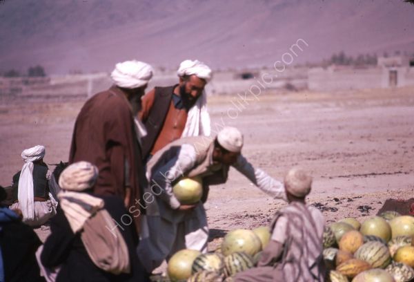 Afghani Melon Seller, Camel Market, Kabul