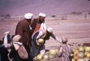 Afghani Melon Seller, Camel Market, Kabul