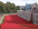 Field of Ceramic Poppies, Tower of London
