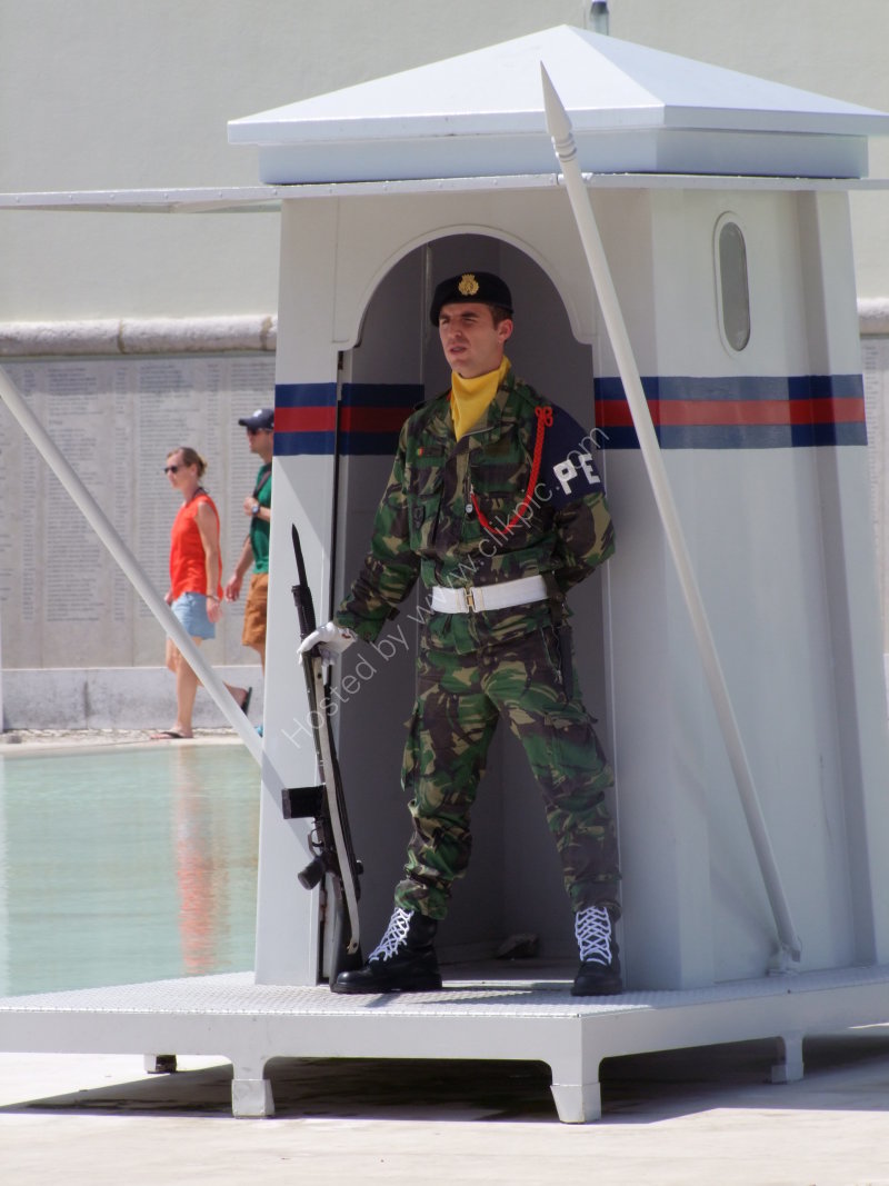 Sentry in Pillbox