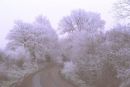 Winter Scene, New Mill Road, Finchampstead
