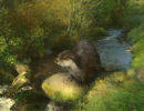 "An Otter Beside a Highland Burn"