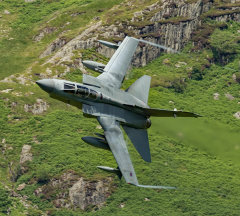 Tornado "Tonka" 002