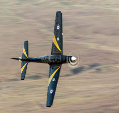 Short Tucano ZF317