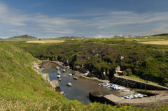 Porthclais Harbour, St Davids, Pembrokeshire