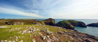 Ramsey Island - View looking South to the Islands of Ynys Gweltog, Cantwr & Bery