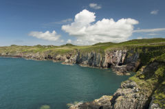 Coastal Footpath nr St Justinian, St Davids.