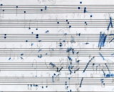 Barley marks transcribed 2