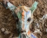 Soil Devil (detail)