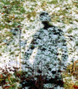 Shadow Figures