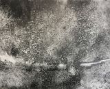 Rain Drawing VII (2019)