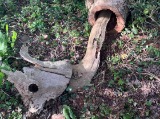 Site Specific Installations