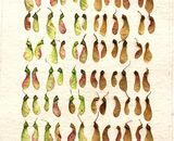 'Seasons Turning' - Water colour, sycamore seeds. 53.5 x 71cm (framed)