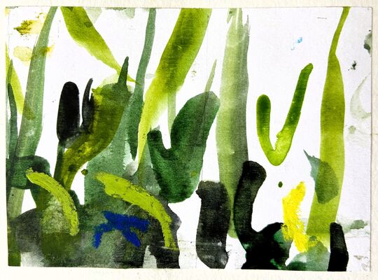 Walk 2 9/8/24