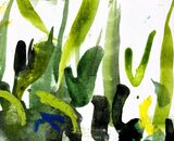 Drawing & Painting
