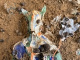 Assemblage