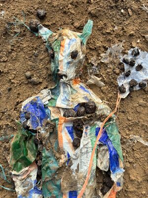 Soil Devil (detail)