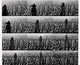 'Echo' Photos on mountboard (A2 sized) 2020