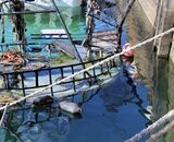 'Bright Wreck' Photographic print. August 2023