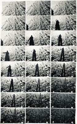 'Procession' Shadow Series. Photos on mountboard (A2 sized) 2020'