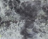 Rain Drawing VI (2019)