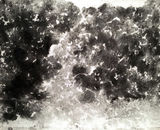 Rain Drawing - June 2019