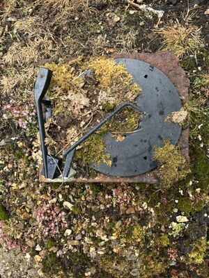 Walk 7