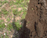 Half Ploughed Shadow