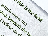 Excerpt from poem 