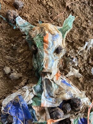 Soil Devil (detail)