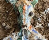 Soil Devil (detail)