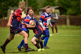 U9S 1230