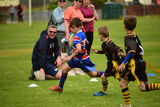U9S 1298