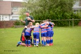 Pencoed rfc minis & Junior