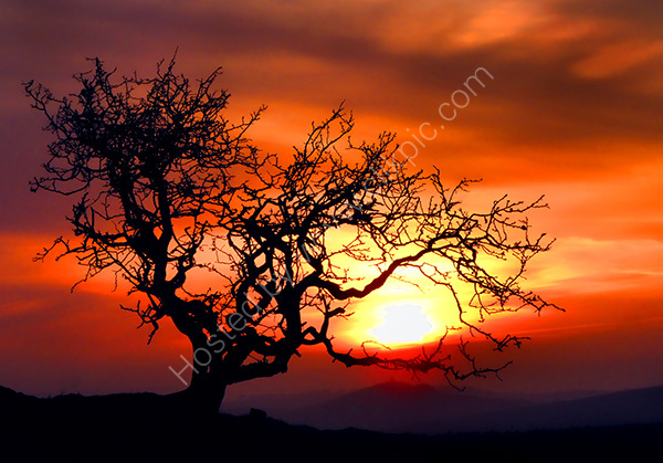 Dartmoor Sunset
