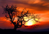 Dartmoor Sunset