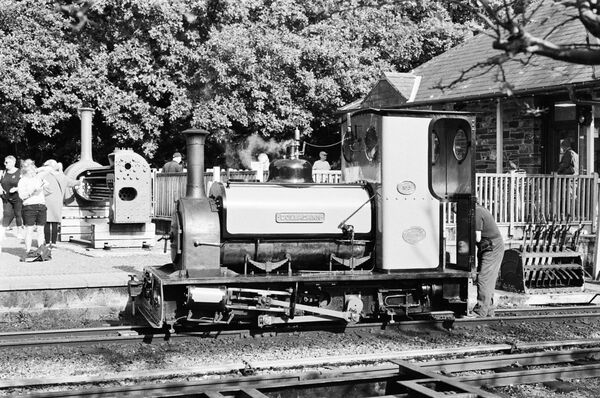 Dolbadarn narrow gauge locomotive.