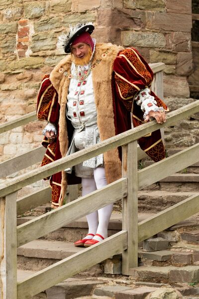 King Henry VIII on steps