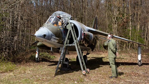 Pilot and ground crewman with Harrier jet.
