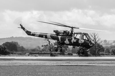 Royal Navy Wasp XT787 lifts from Yeovilton. Royal Navy Wasp XT787.