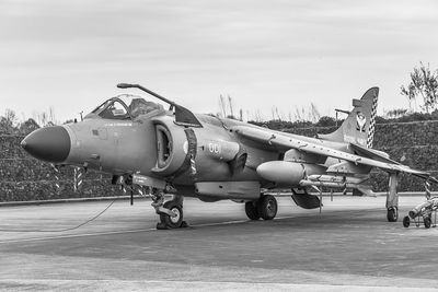Royal Navy Sea Harrier. Sea Harrier
