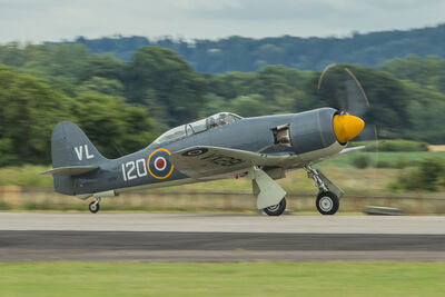 Royal Navy Sea Fury begins its take off run.