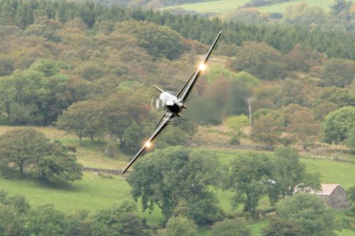 Shorts Tucano