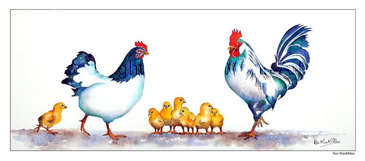 Painting of hen and rooster with chicks