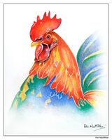 Rooster (study 2) Pen, ink and watercolour of rooster (study 2).