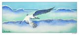 Gull flying in surf