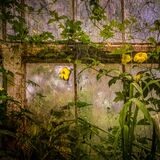 Botanical Harmony Portfolio