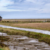Across the Salt Marsh
