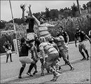 The Lineout.