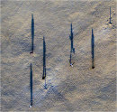 Martians playing cricket ?